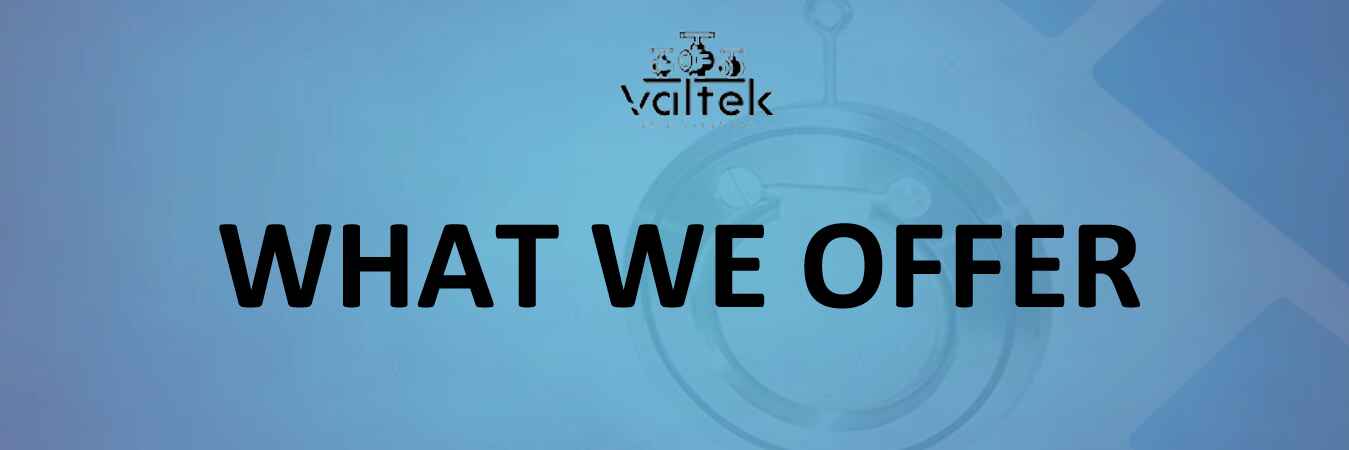 What We Offer